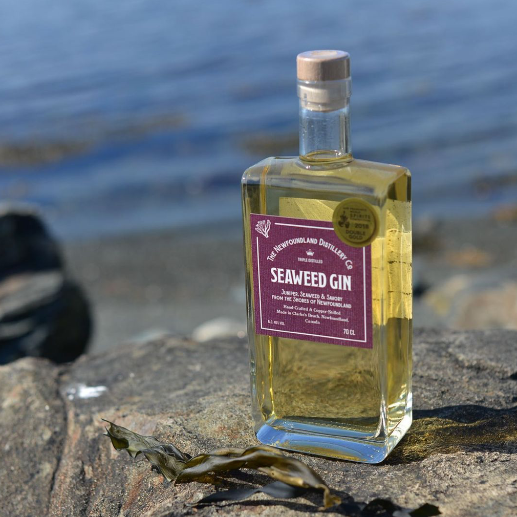 Seaweed Gin is now available at Masters of Malt The Newfoundland