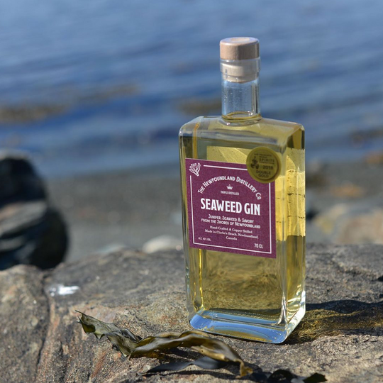 Seaweed Gin is now available at Masters of Malt